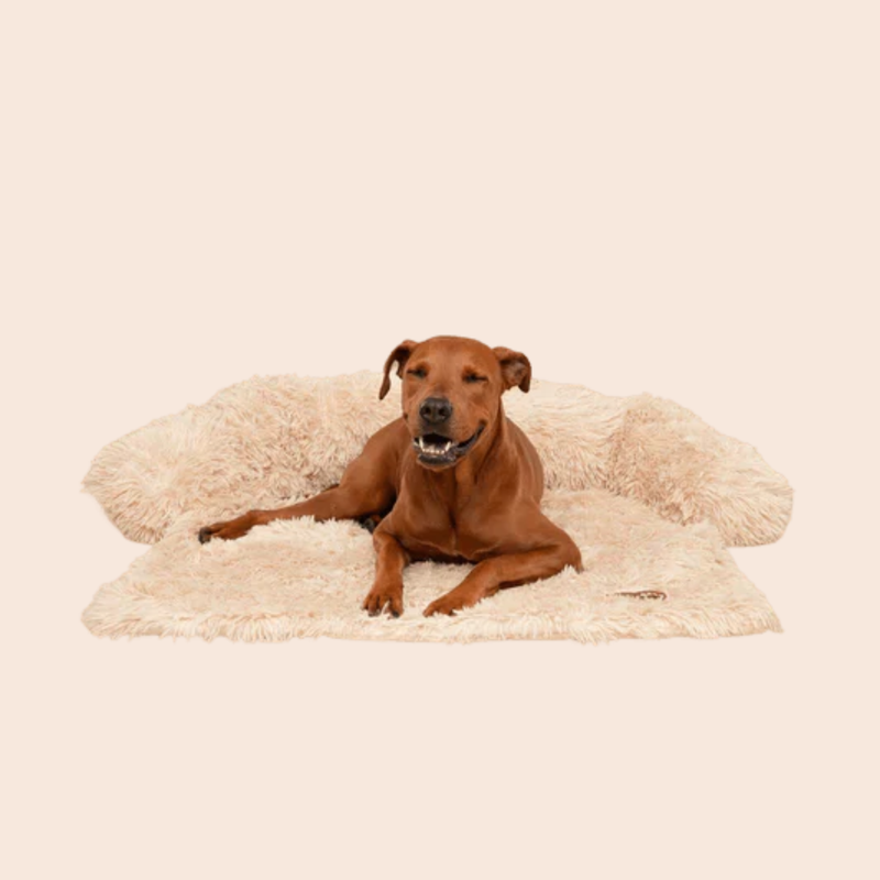 ChillDen™ Cooling Comfort Dog Bed