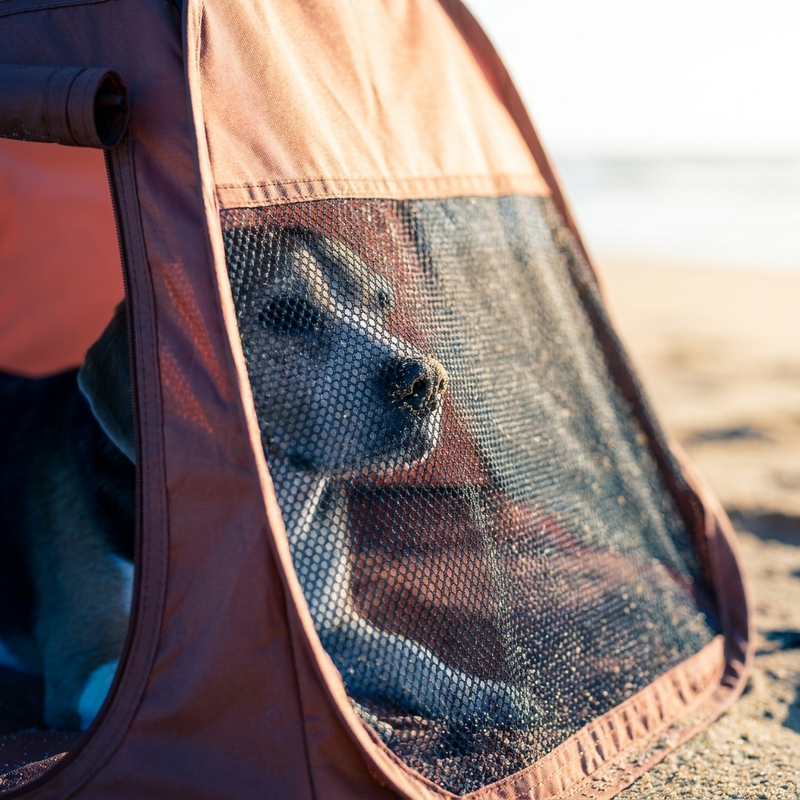 ShadeDen™ Pop-Up Pet Shade Tent (UPF 50+)