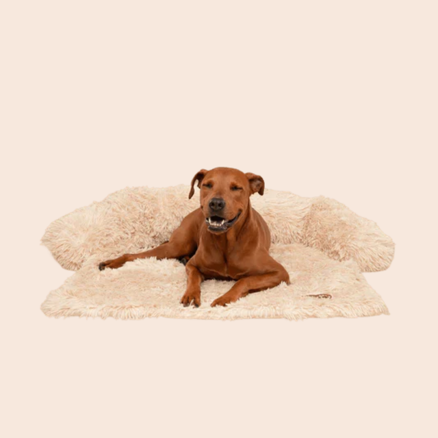 ChillDen™ Cooling Comfort Dog Bed