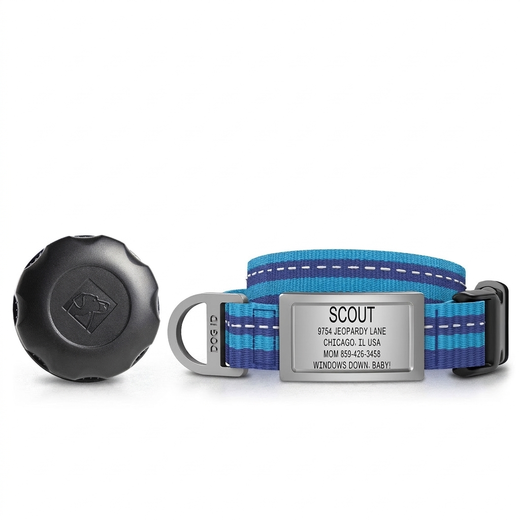 SilentGuard™ Personalized Dog ID Collar