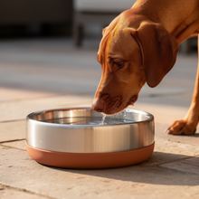 GlacierBowl™ Double-Wall Insulated Water Bowl